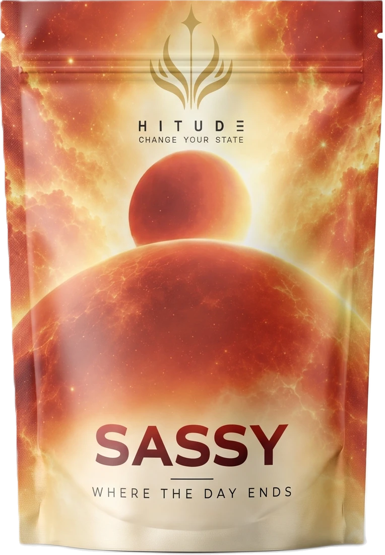 SASSY pouch